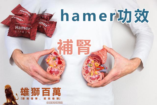 hamer功效中不得不提的奇妙之處，天然補品給你想要